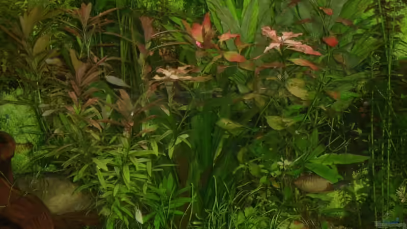 Ausschnitt 5 von qmman (6)