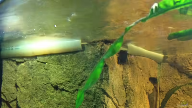 Ausschnitt für Filterauslass von Rubens (17)