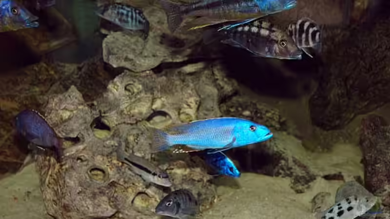 Ausschnitt linke Seite 11/2004 von Heiko Gröschel (6)