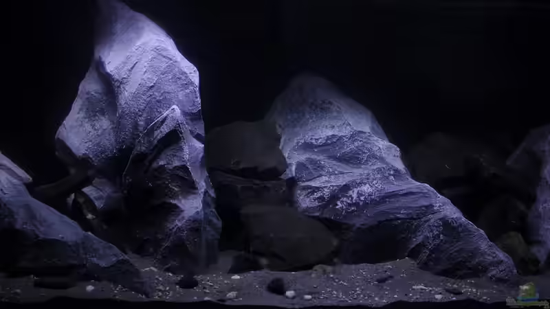 Ausschnitt mittig von Jürgen Hubral (16)