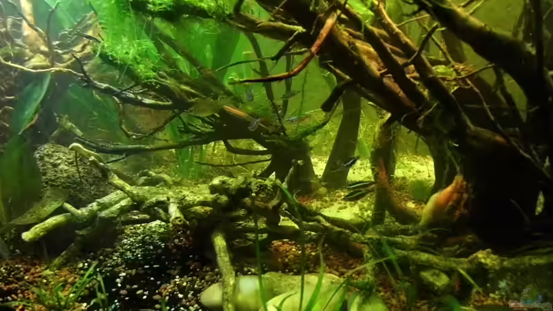 Ausschnitt nach dem Umbau