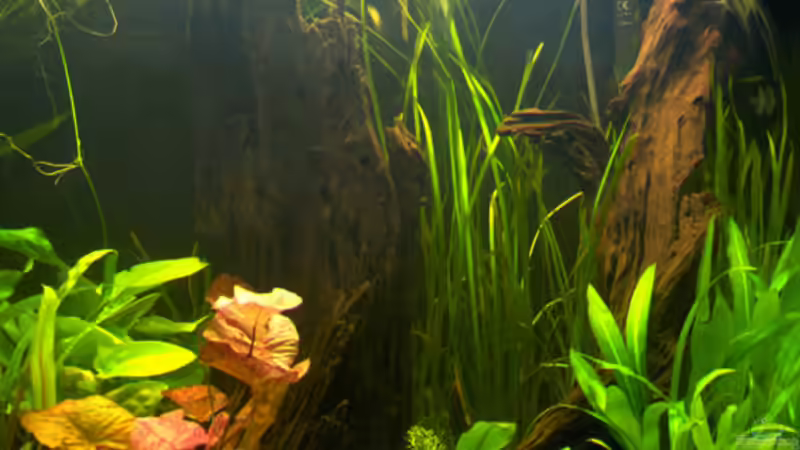 Ausschnitt rechts von Andi Hofstetter (5)