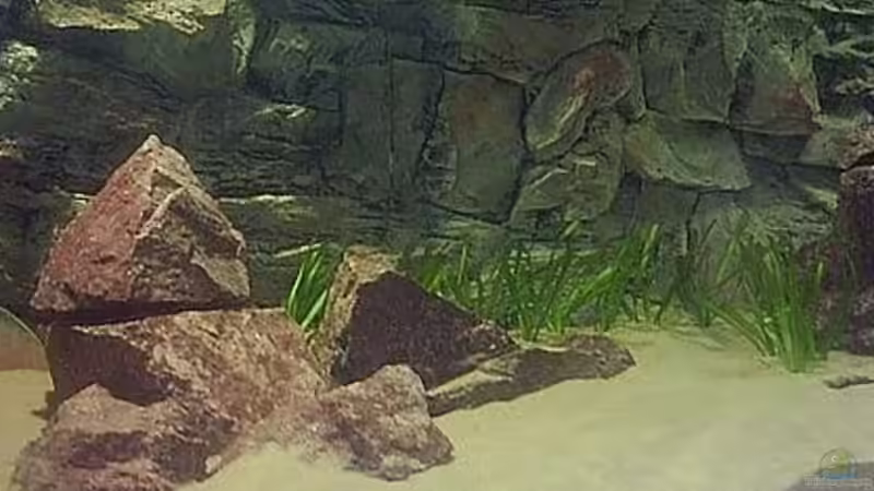 Ausschnitt von Jürgen Herb (13)