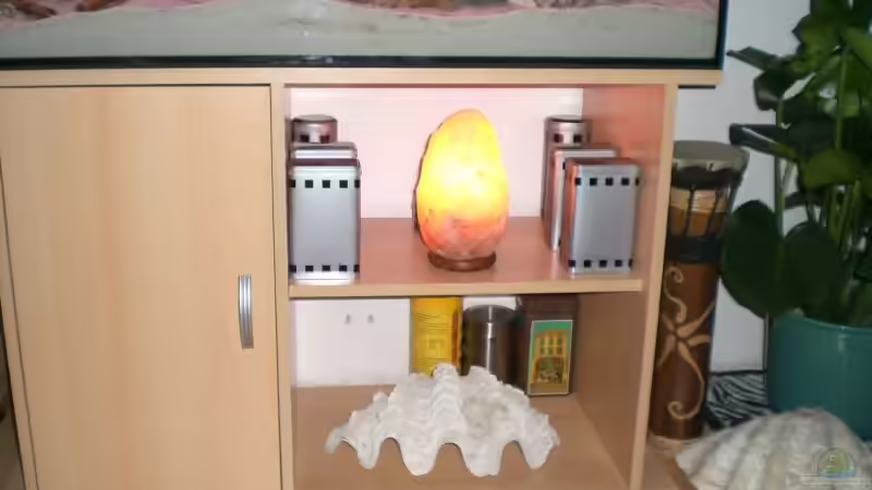 Außendeko ;-) von Sven Seidel (6)