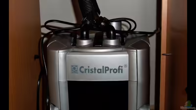 Außenfilter - JBL CristalProfi e900 von -Markus- (6)