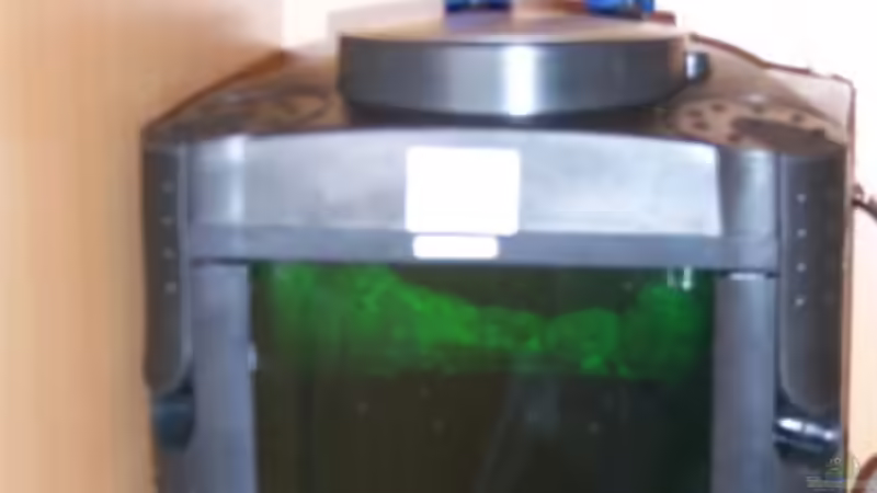 Aussenfilter 1200l/h von 47 Malawi (8)