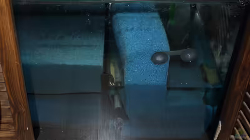 Außenfilter 150 Liter 50% gefüllt von Frank Krüger (19)