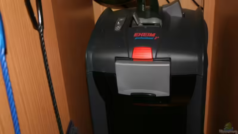 Außenfilter 2078 Eheim professionel 3  von Steffen Rübsam (18)