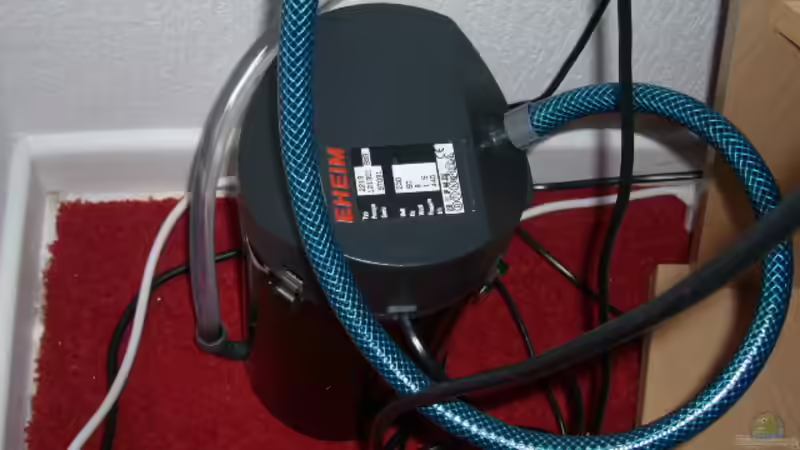 Außenfilter 440 l/h von Lehmann Sven (4)