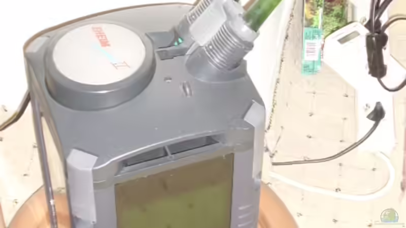 Außenfilter Eheim Prof. II 2026 von Thomas Kalisch (11)