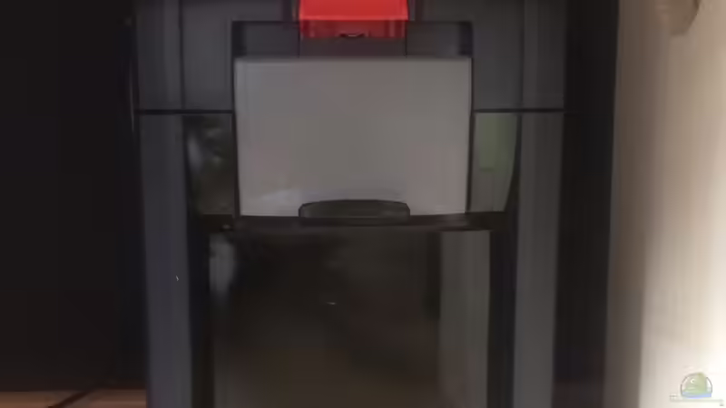 Außenfilter Eheim Professionel 3 von Ragner (9)