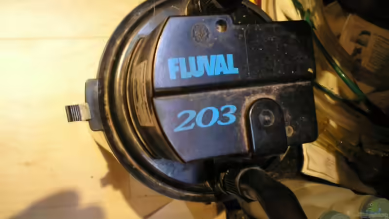 Außenfilter Fluval 203 von Mario Lange (8)
