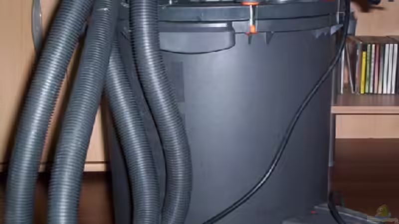 Aussenfilter Fluval FX5 von Didi (36)