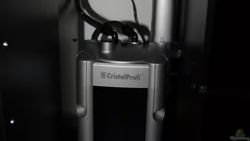 Aussenfilter JBL 1500, JBL UV-C Klärer 36 W von Klaus Fischer (9)