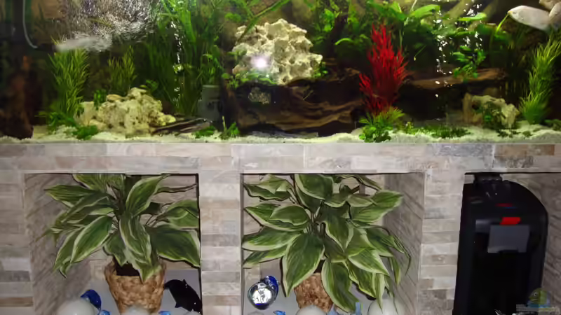 Außenfilter professionel 3,2mal Luftpumpe Eheim von Stefan Hülsmann (8)