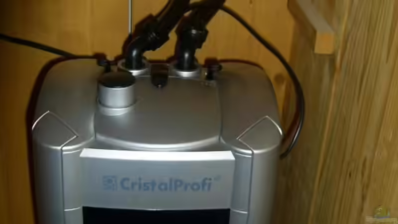 Außenfilter von Butterblume (9)