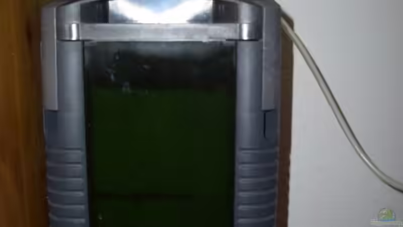 Außenfilter von Daniel (8)