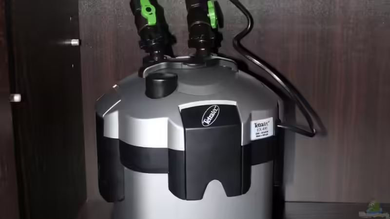 Außenfilter von Der kleine Delfin (11)