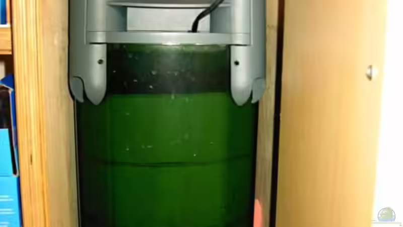 Aussenfilter von Lee Kienle (18)