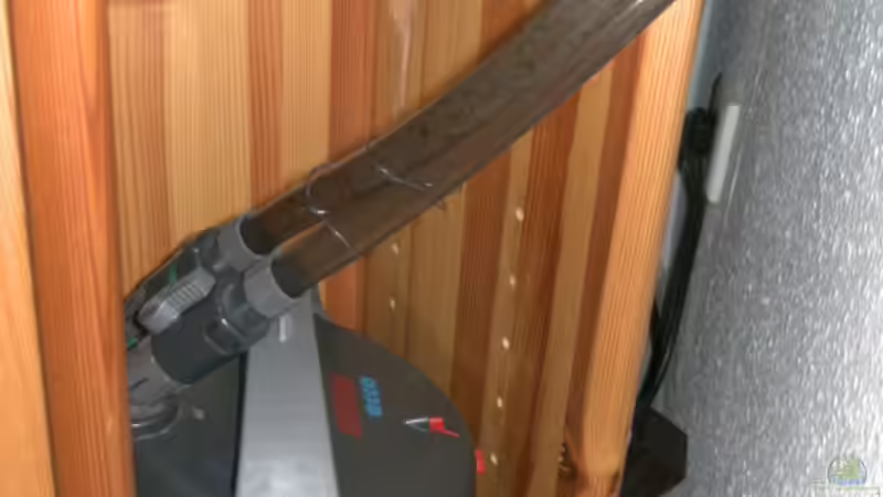 Aussenfilter von MarcelS (7)