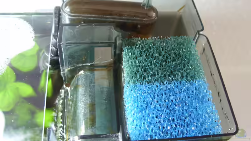 Aussenfilter von Nanonana (19)