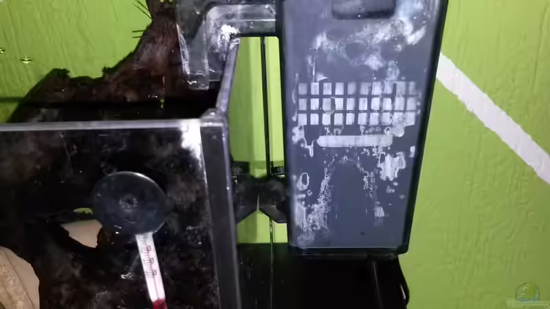 Außenfilter von Robert&Alex (5)