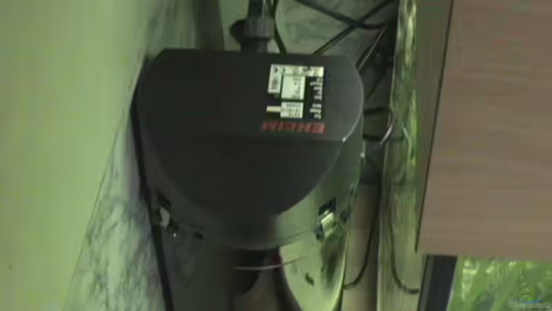 Aussenfilter von Schins (7)