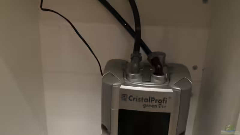 Außenfilter von Skalarjoe (22)