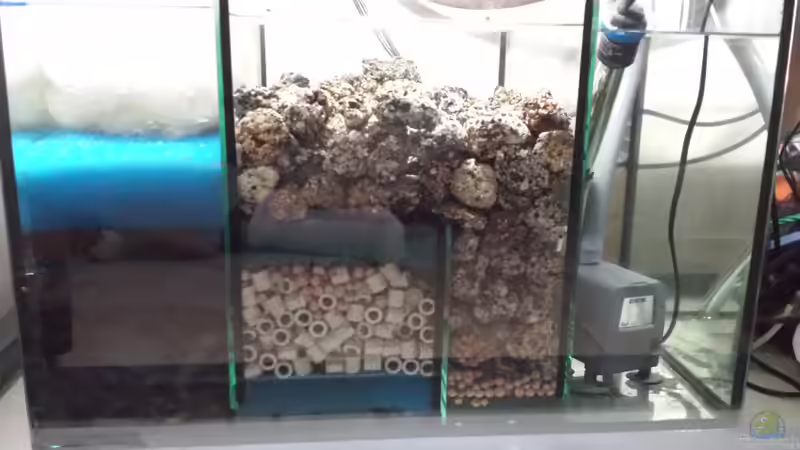 Außenfilterbecken 4-Kammer Filter von Thomas u. Gabriele P. (39)