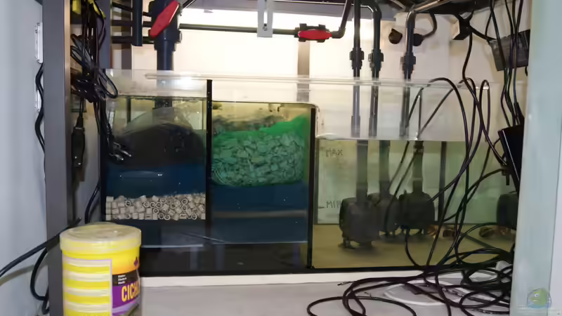 Außenfilterbecken von Michael Walther (11)