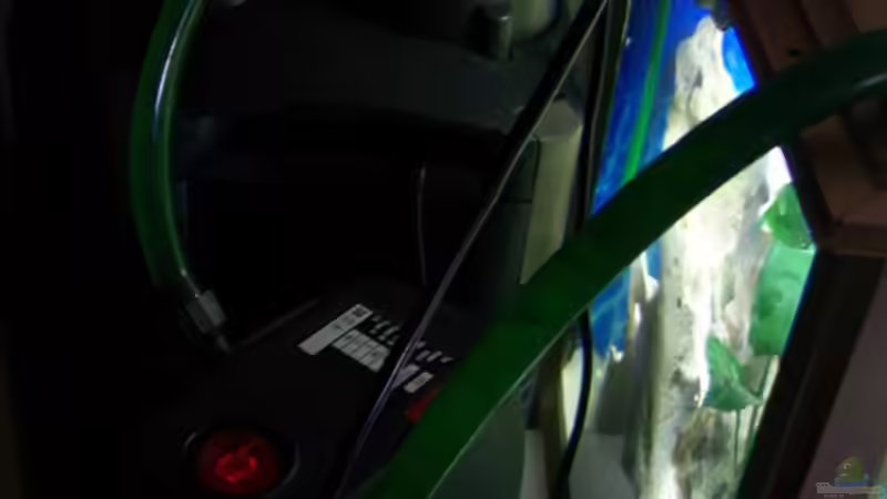 Aussenfilterung von 47 Malawi (13)