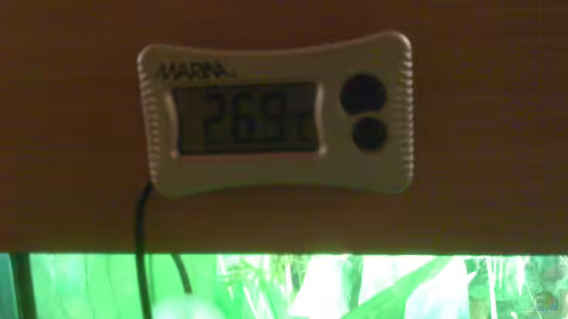 Außenthermometer von Daggi Mittag (5)