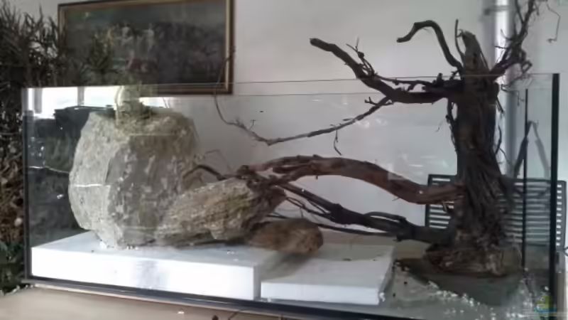 Außerdem wird aus Moorkienästen ein im Wasser wurzelnder Baum nachgeahmt. von Markaroni (46)