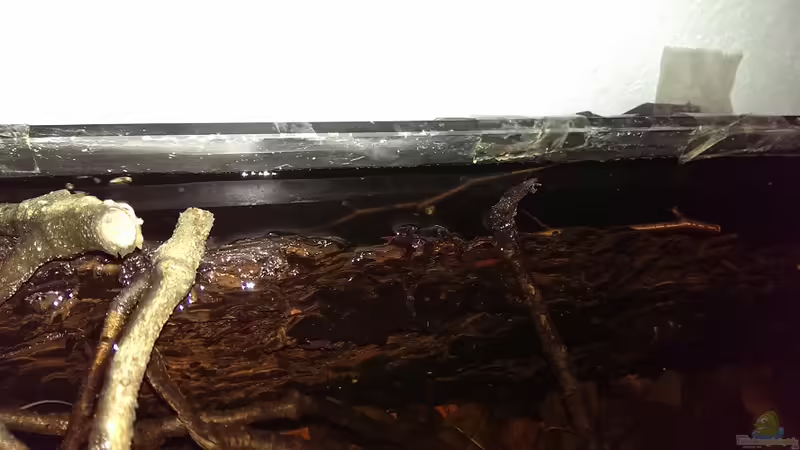 Aussschnitt Rückwand von Niklas125 (18)