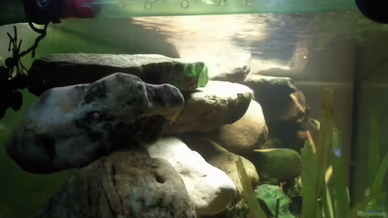 Ausstrahlrohr oben an der linken Seitenscheibe von mikael38 (23)