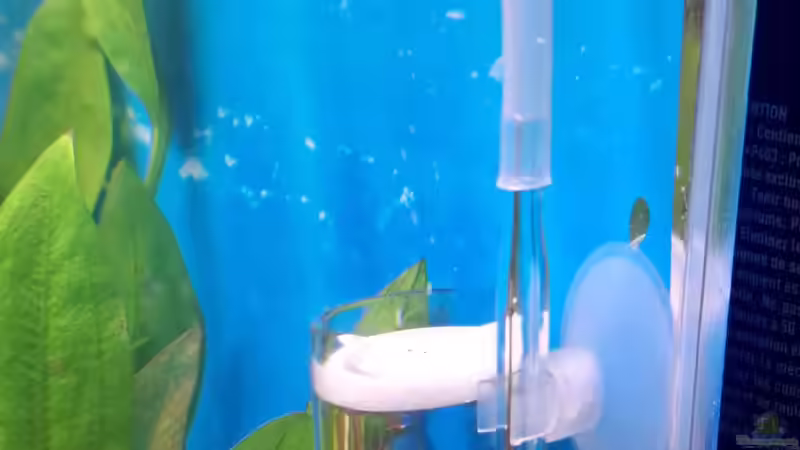 Ausströmer CO2 von ernst11 (21)