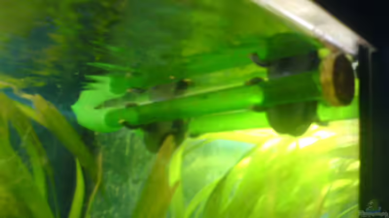 Ausströmer des Filter von t-time (12)