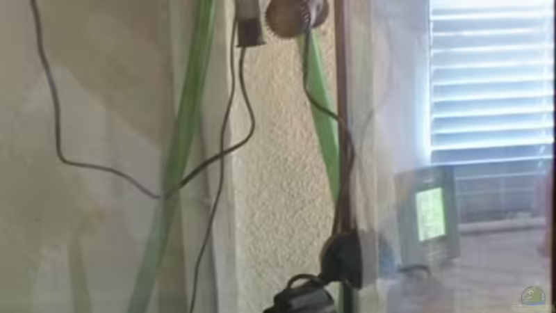 Ausströmer rechts im Becken mit 2  Strömungspumpen von Michael Boeck (44)