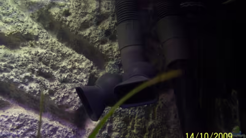 Ausströmer von Dicker Udo (14)