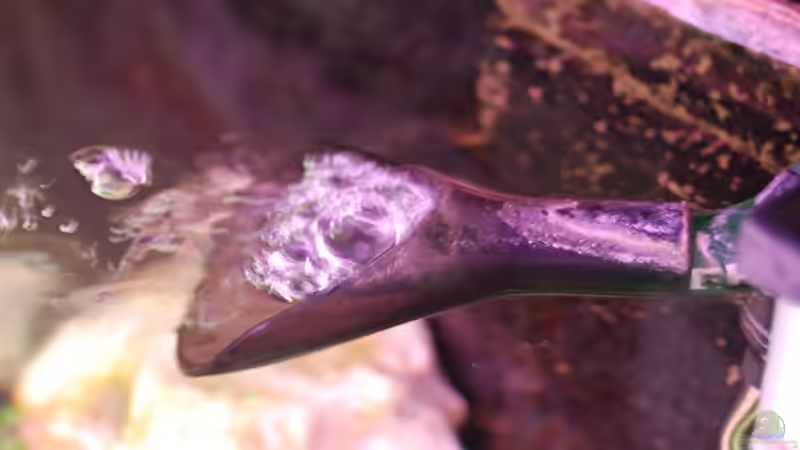 Ausströmer zur Oberflächenbewegung von malteser (3)