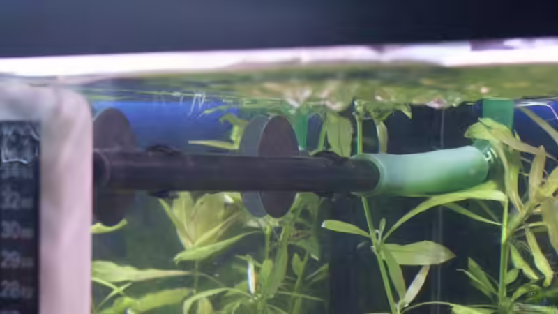 Ausströmrohr am CP 250 von Sauerlandmicha (20)