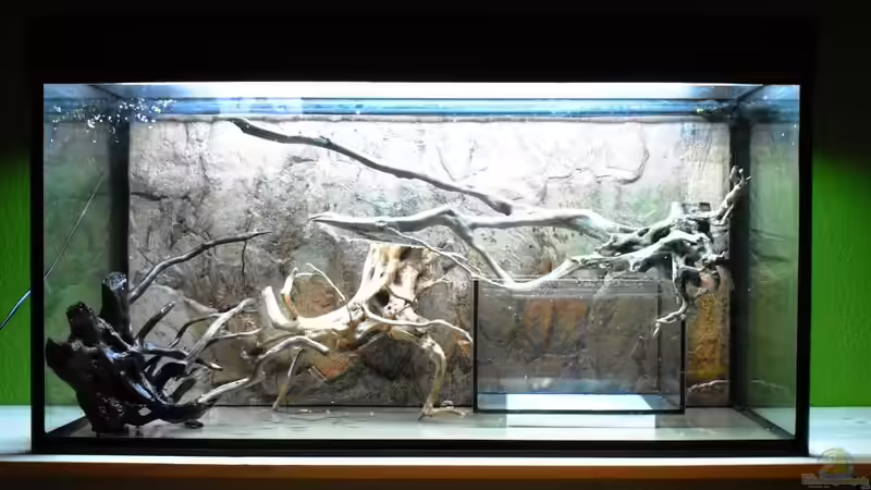 Austesten zuerst mit einem kleinen Becken als Pflanzzone ,später gegen Korkröhre von schnitzler (2)