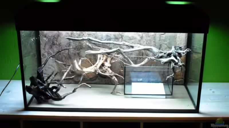 Austesten zuerst mit einem kleinen Becken als Pflanzzone ,später gegen Korkröhre von schnitzler (3)