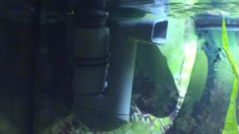 Austritt des neuen Fluval 205 Außenfilter von Marco Schumacher (18)