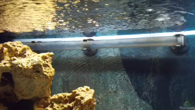 Auströmrohr leicht nach oben gerichtet von matze81 (13)