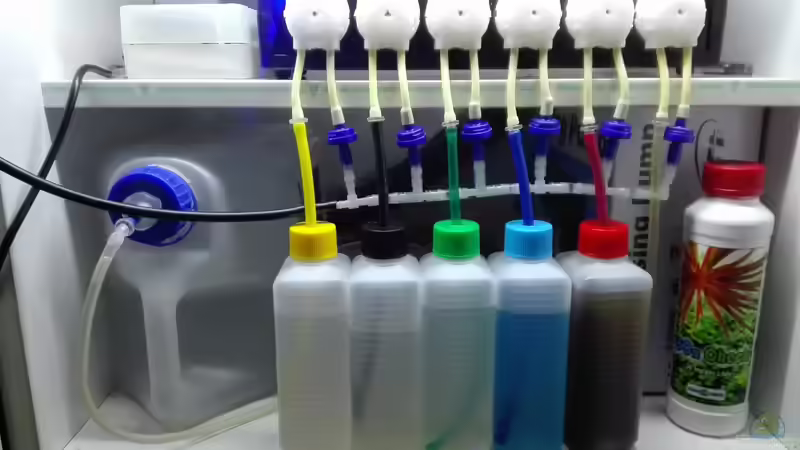 Automatische Düngung mit Dosieranlage von Lance Hardwood (52)