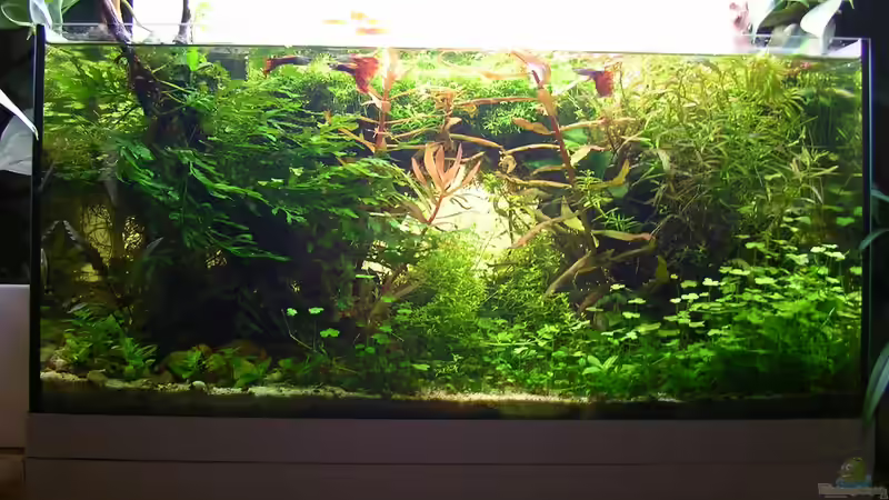 Auweia! Nach 14 Tagen Urlaub!!! von Fredo Fuss (18)