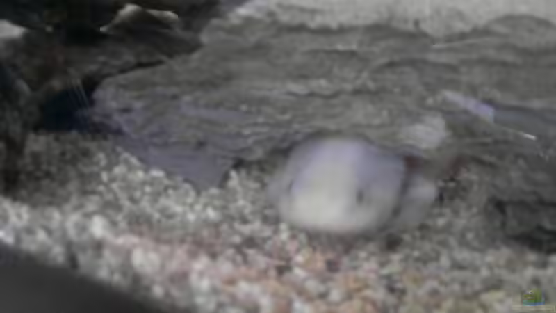 Axel in der Höhle von Xiahtic (9)