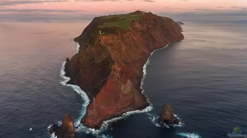 Azoren - Naturparadies im Atlantik zwischen Vulkanen, Ozean und unberührter Wildnis