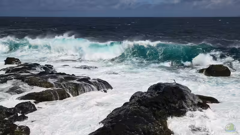 Azoren - Naturparadies im Atlantik zwischen Vulkanen, Ozean und unberührter Wildnis